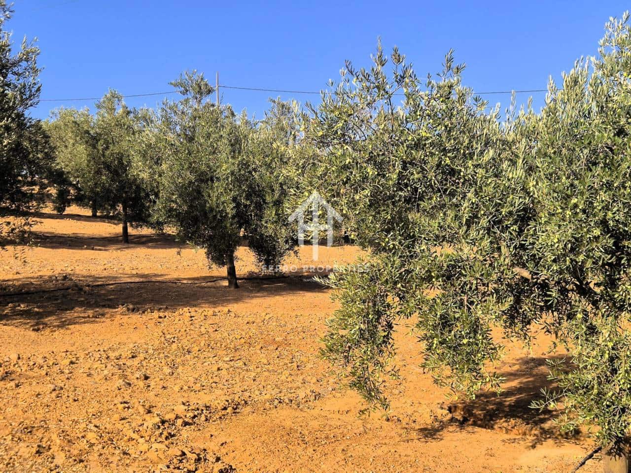 Finca/Landhuis te koop in Pinar - € 230.000 (Ref: 9340684)