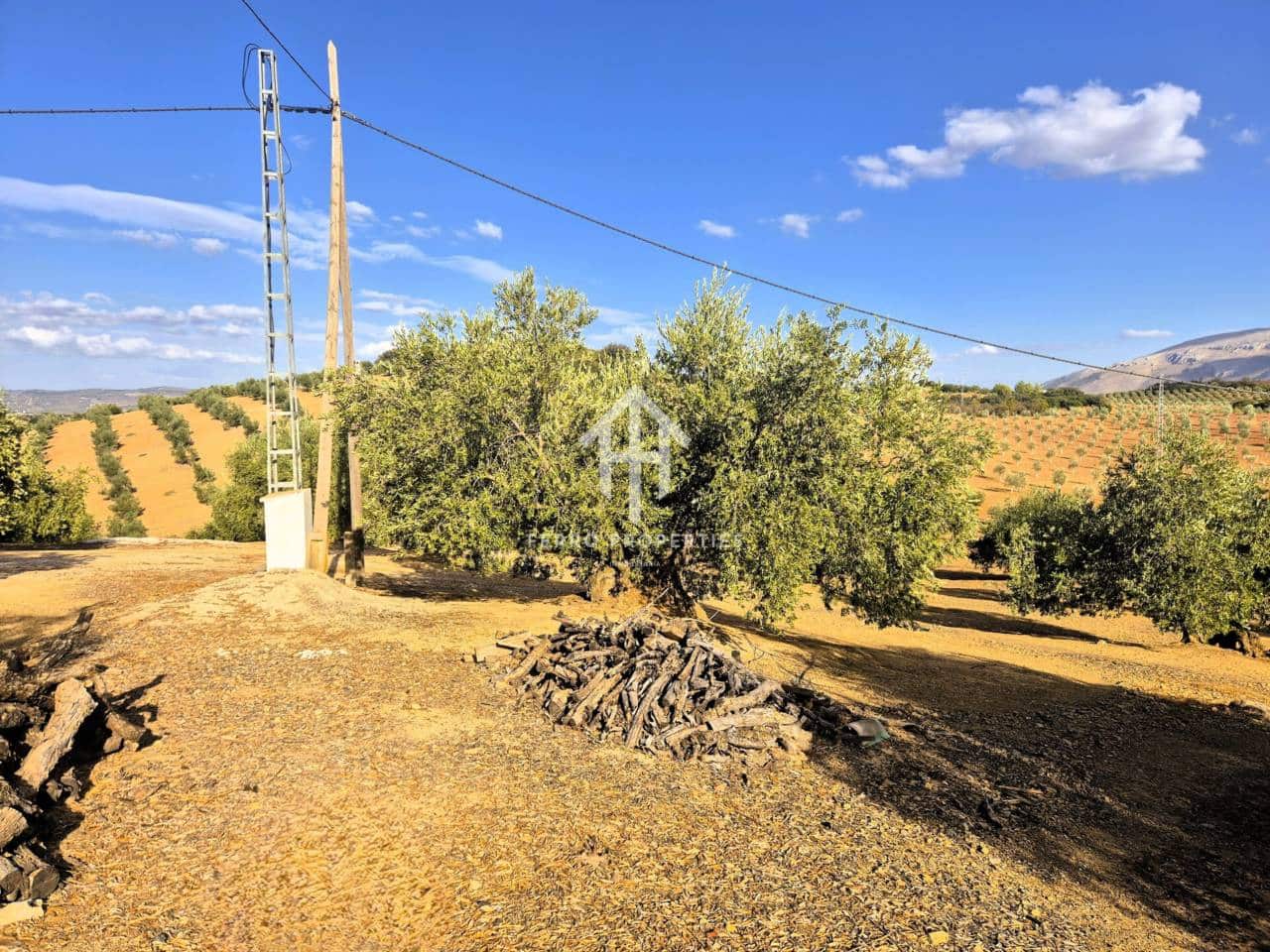 Finca/Landhuis te koop in Pinar - € 230.000 (Ref: 9340684)