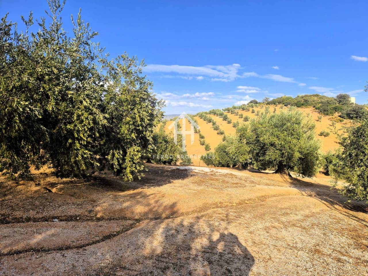 Finca/Landhuis te koop in Pinar - € 230.000 (Ref: 9340684)