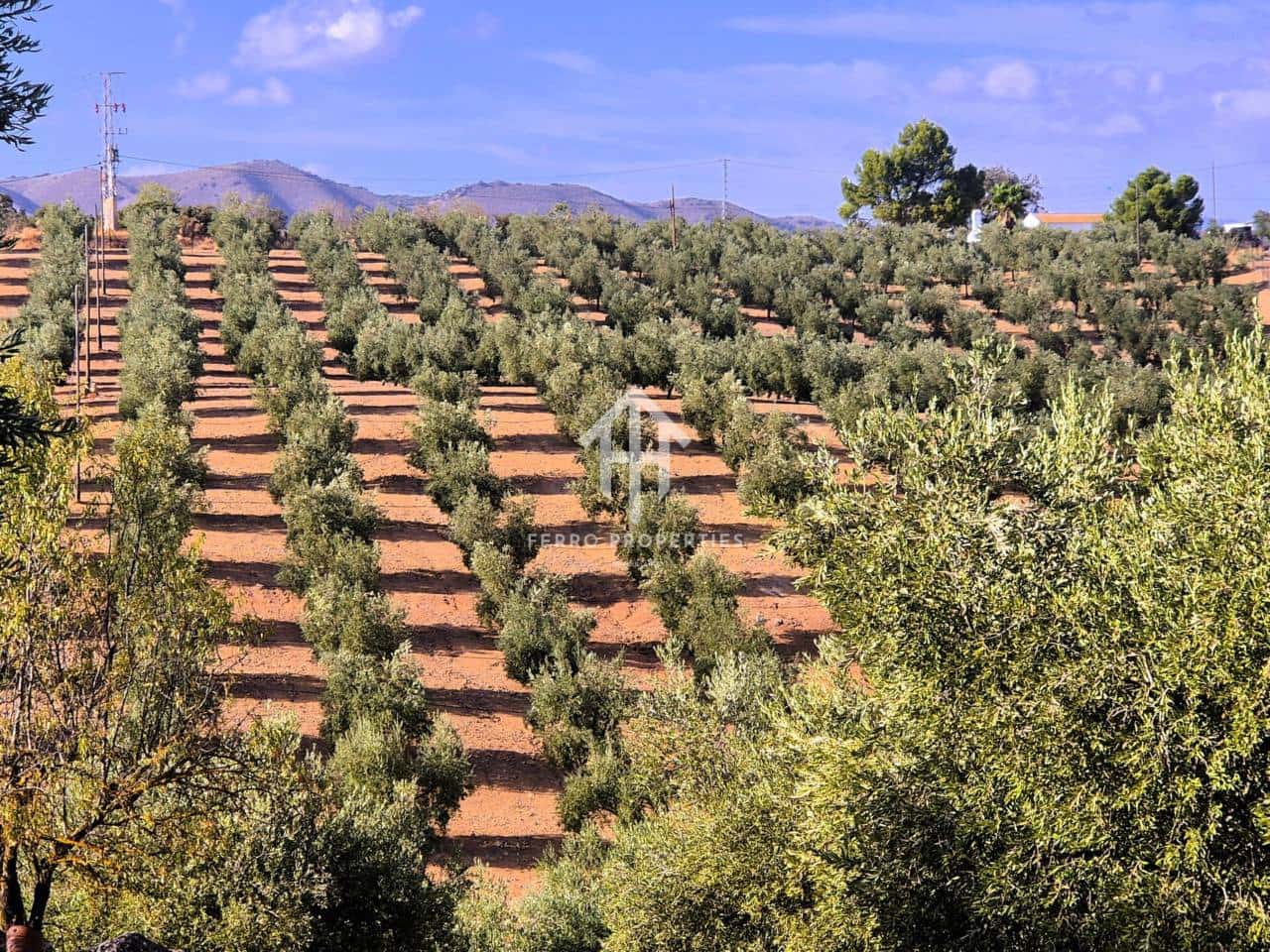 Finca/Landhuis te koop in Pinar - € 230.000 (Ref: 9340684)