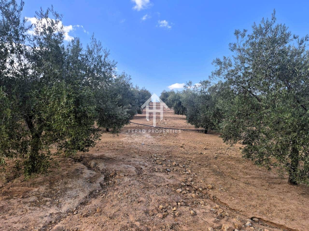 Finca/Landhuis te koop in Pinar - € 230.000 (Ref: 9340684)