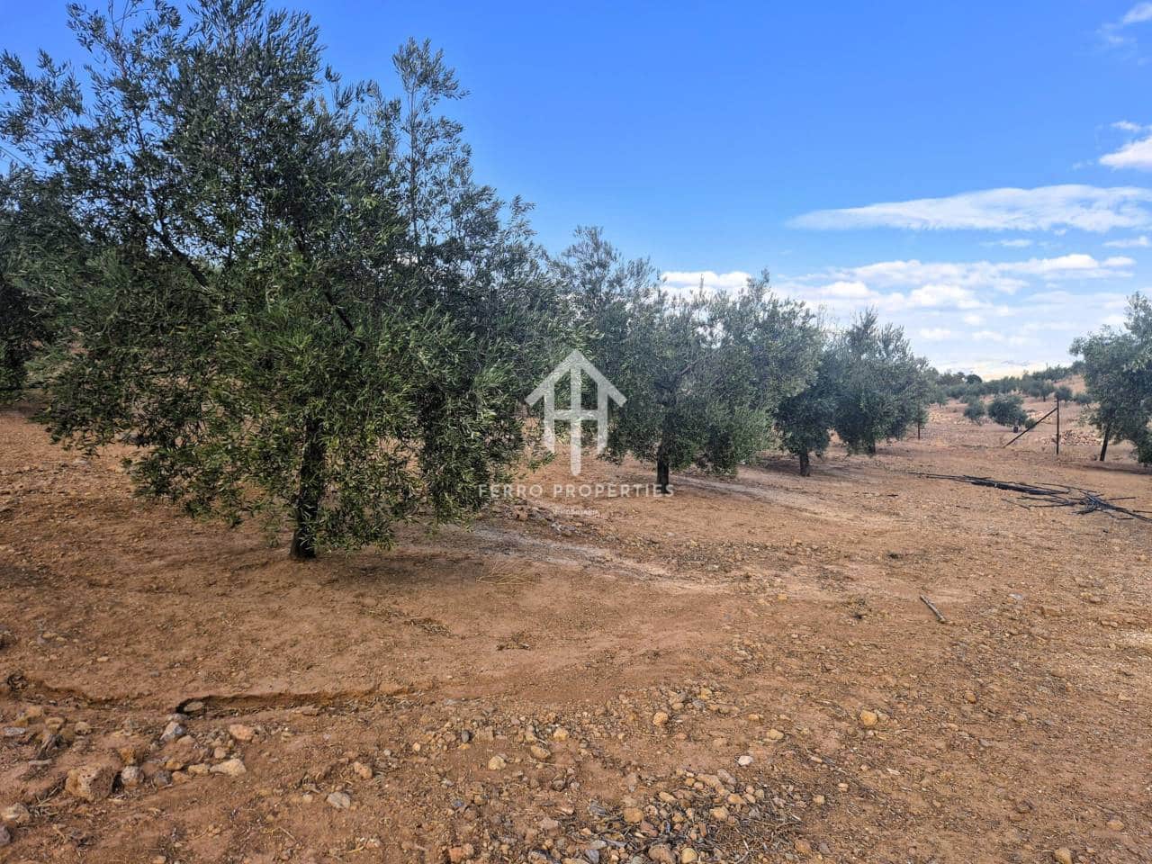 Finca/Landhuis te koop in Pinar - € 230.000 (Ref: 9340684)