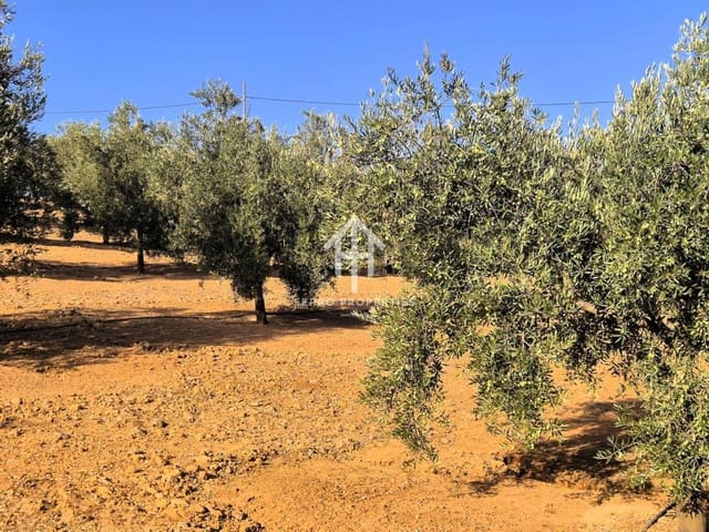 Finca/Landehus til salg i Píñar - € 230.000 (Ref: 9340684)