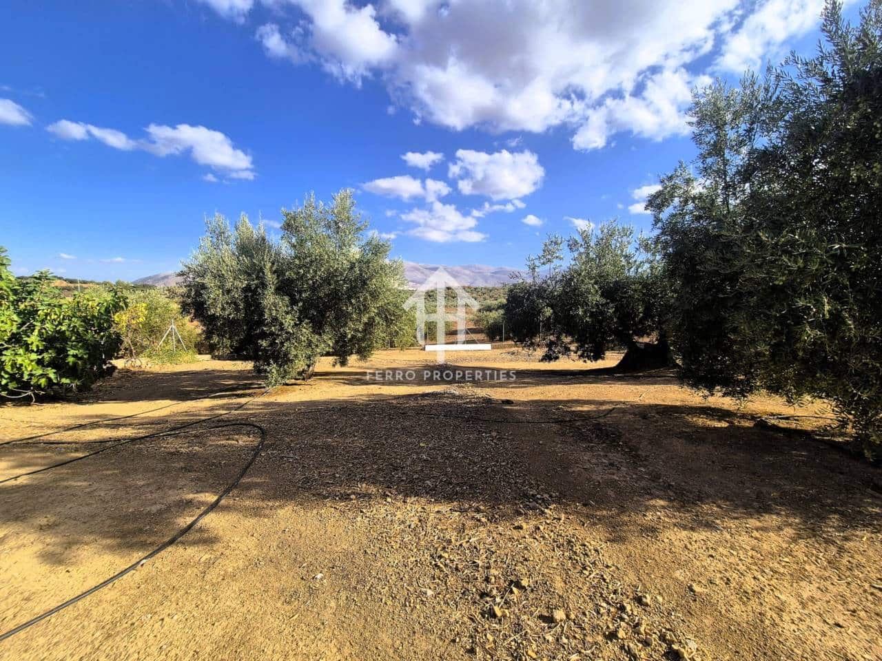 Finca/Landhuis te koop in Pinar - € 230.000 (Ref: 9340684)