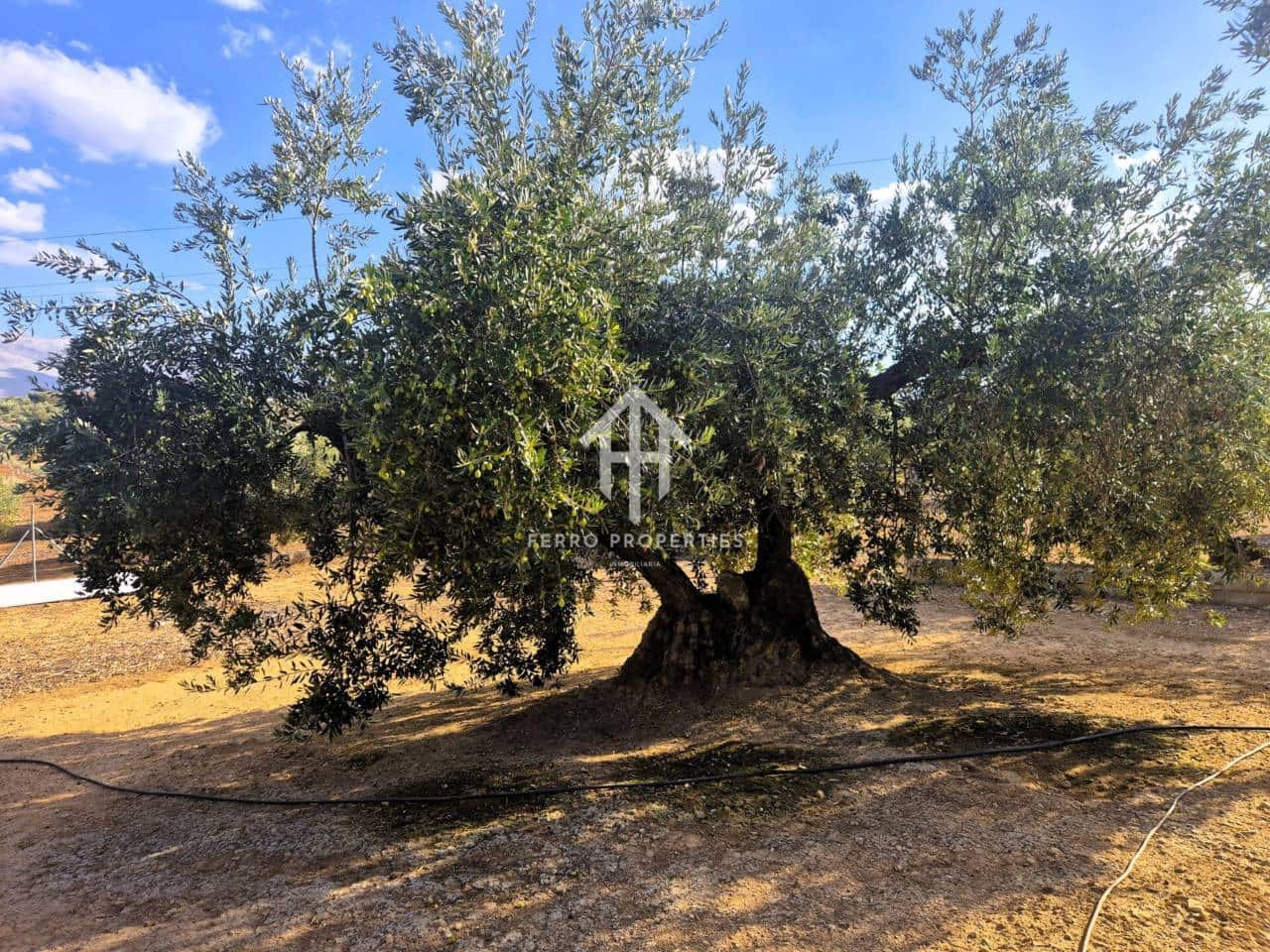 Finca/Landhuis te koop in Pinar - € 230.000 (Ref: 9340684)