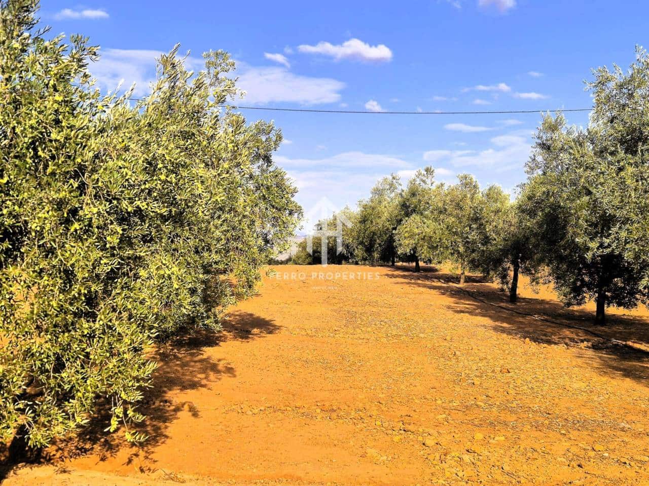 Finca/Landhuis te koop in Pinar - € 230.000 (Ref: 9340684)