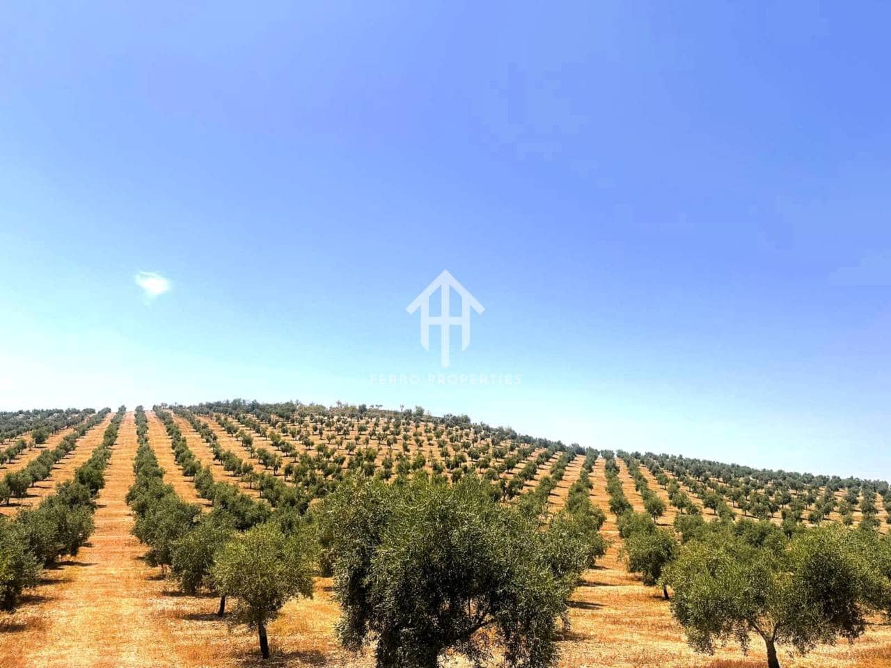 Finca/Hus på landet till salu i Cacin - 999 900 € (Ref: 9436952)