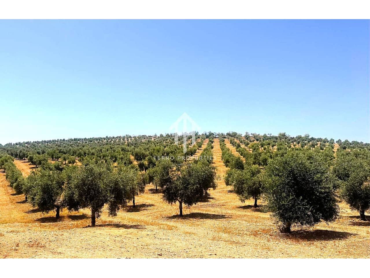 Finca/Hus på landet till salu i Cacin - 999 900 € (Ref: 9436952)