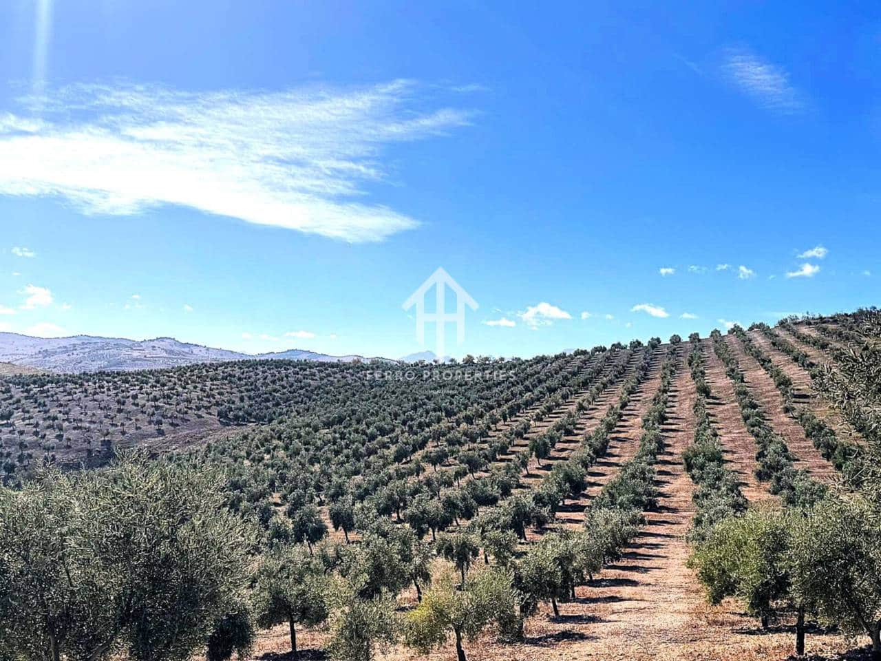 Finca/Hus på landet till salu i Cacin - 999 900 € (Ref: 9436952)