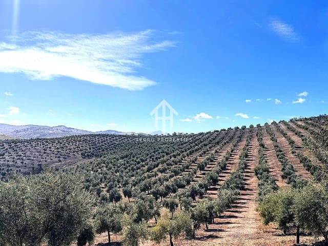 Maalaistalo myytävänä paikassa Cacín - 999 900 € (Ref: 9436952)