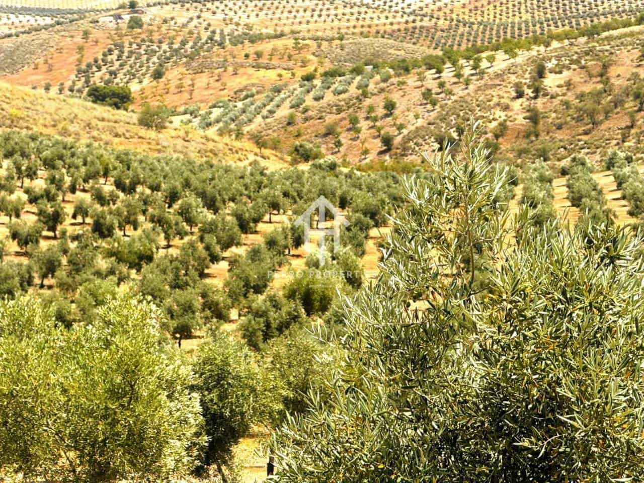 Finca/Hus på landet till salu i Cacin - 999 900 € (Ref: 9436952)