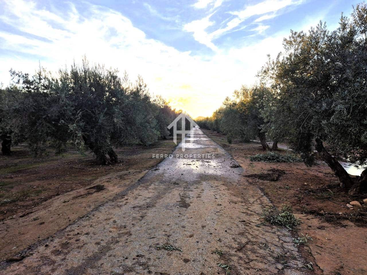 Terreno Não Urbanizado para venda em Iznalloz - 6 700 000 € (Ref: 9446127)