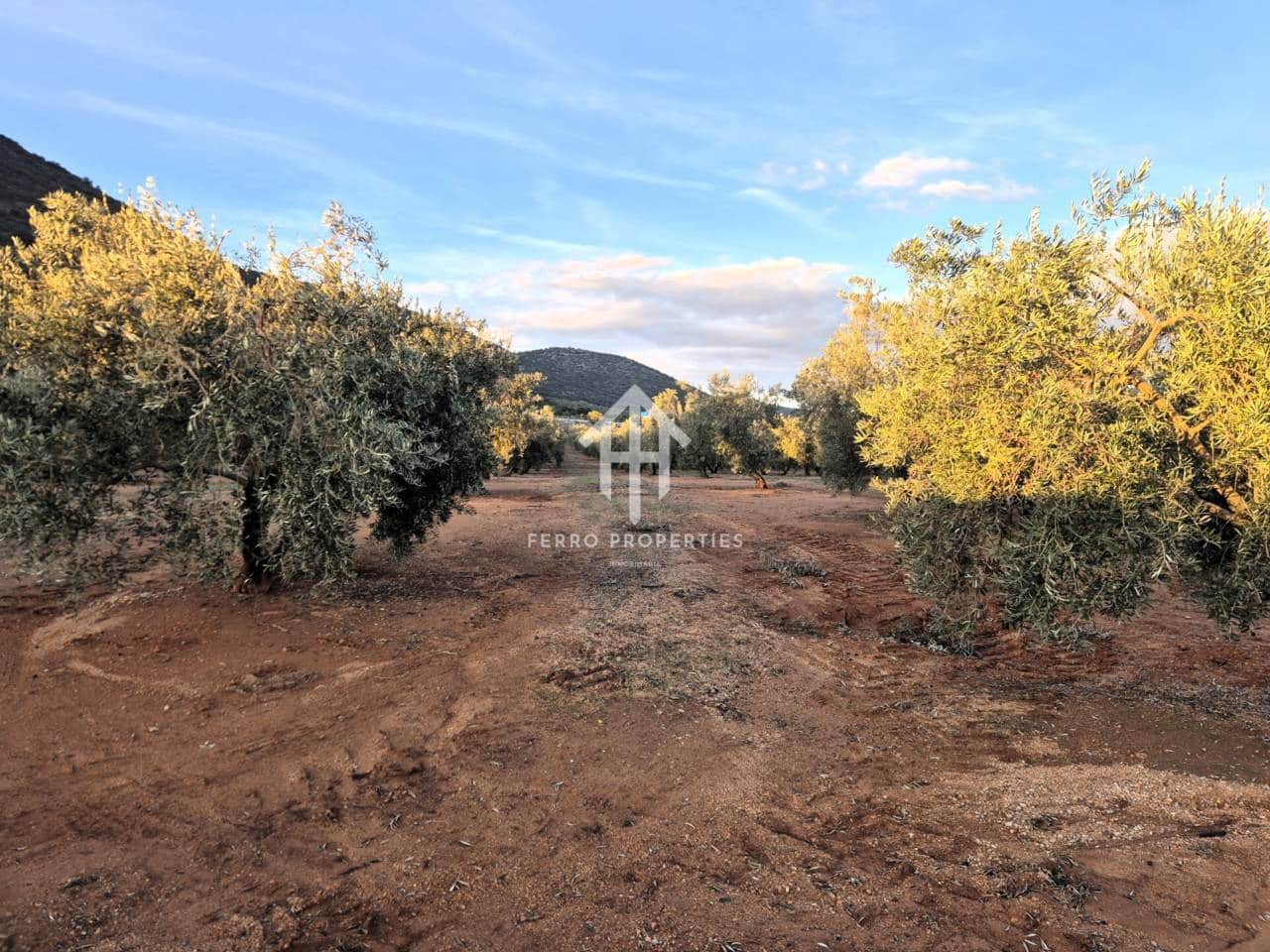 Terreno Não Urbanizado para venda em Iznalloz - 6 700 000 € (Ref: 9446127)