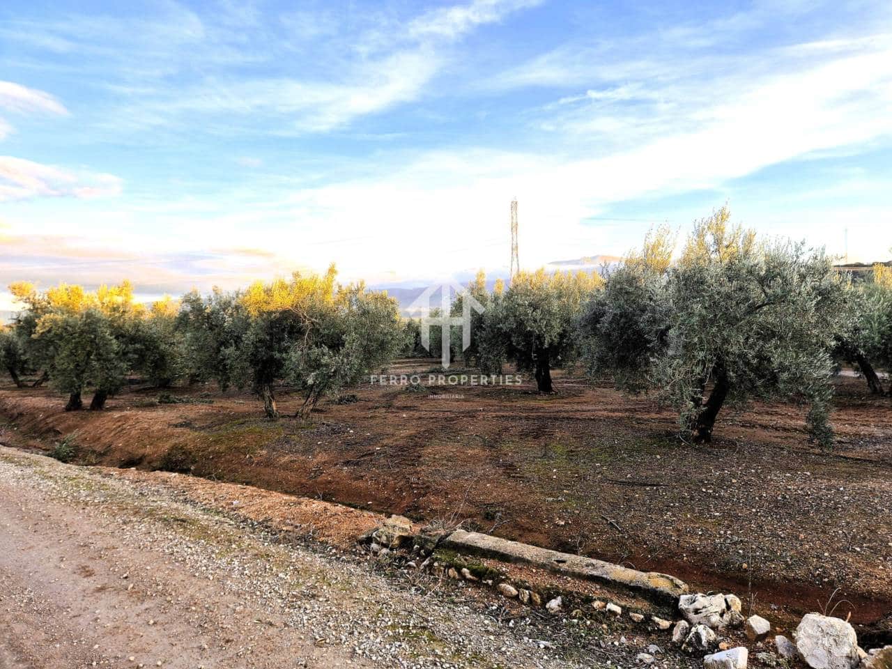 Terreno Não Urbanizado para venda em Iznalloz - 6 700 000 € (Ref: 9446127)