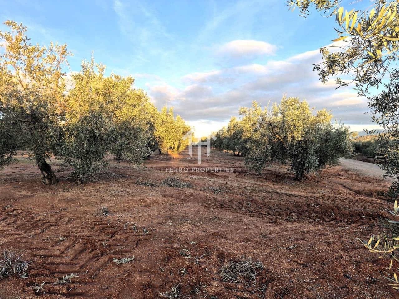 Terreno Não Urbanizado para venda em Iznalloz - 6 700 000 € (Ref: 9446127)