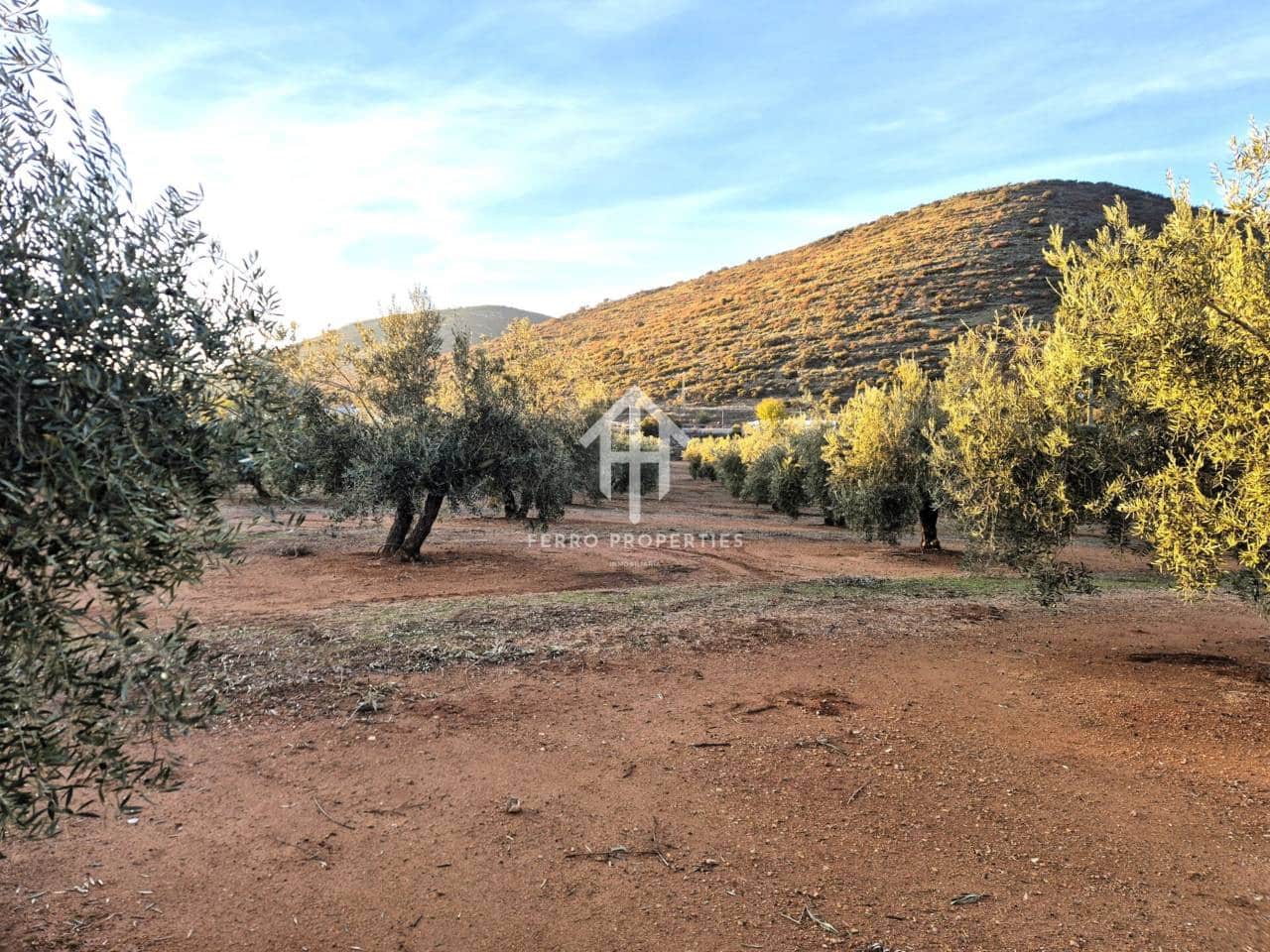 Terreno Não Urbanizado para venda em Iznalloz - 6 700 000 € (Ref: 9446127)