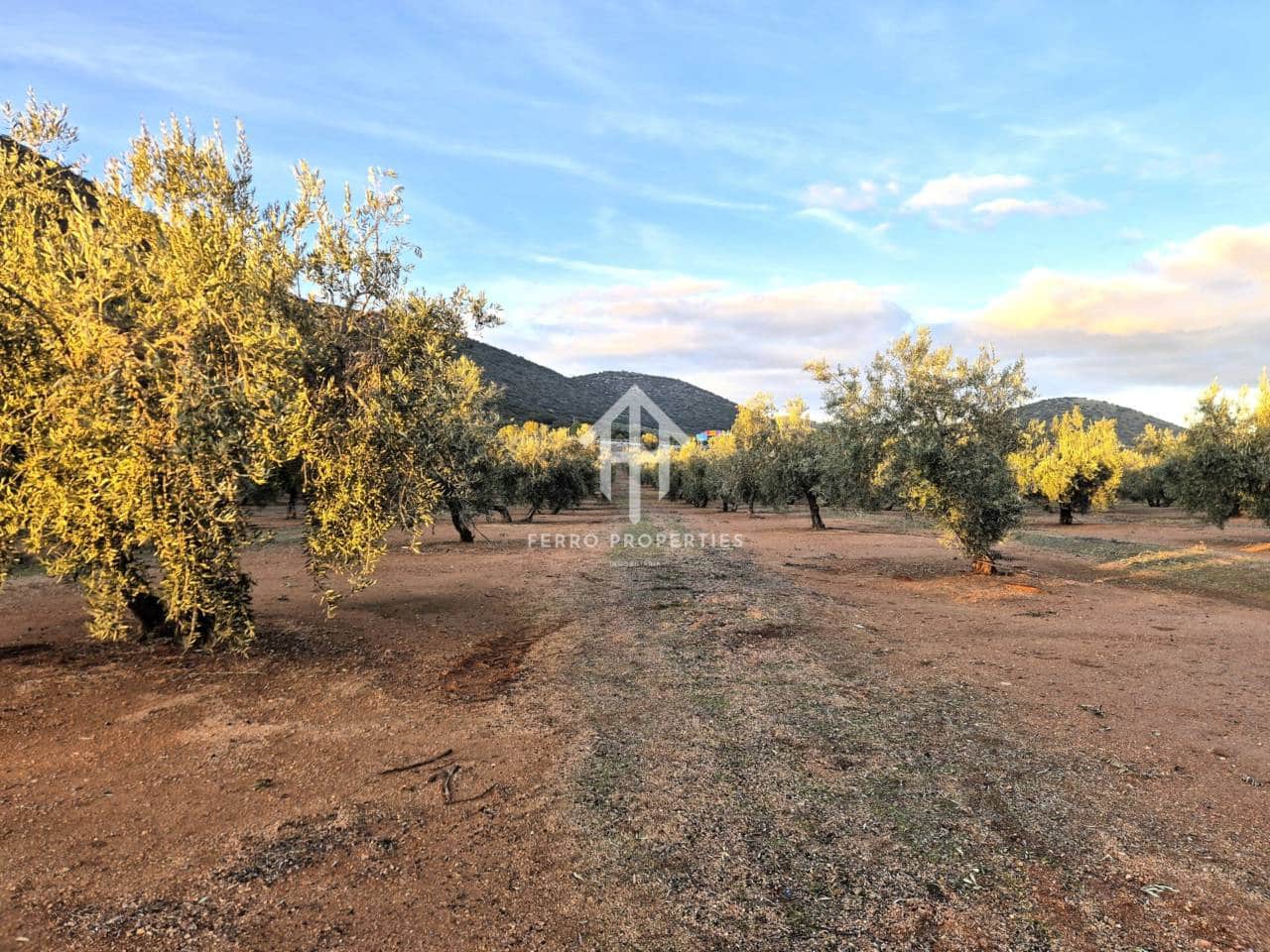 Terreno Não Urbanizado para venda em Iznalloz - 6 700 000 € (Ref: 9446127)