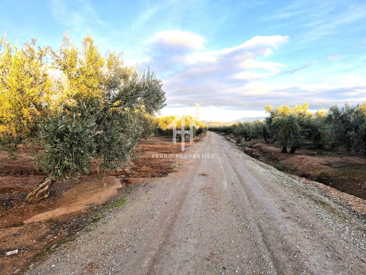 Terreno Não Urbanizado para venda em Iznalloz - 6 700 000 € (Ref: 9446127)