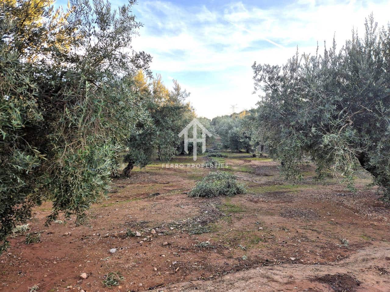 Terreno Não Urbanizado para venda em Iznalloz - 6 700 000 € (Ref: 9446127)