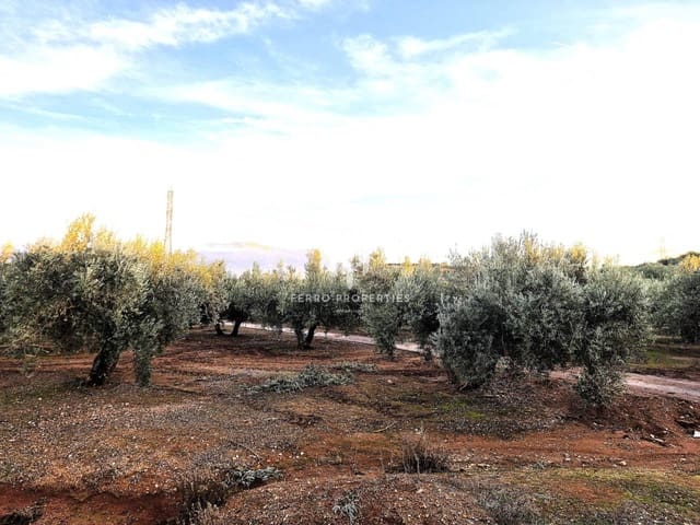 Terreno Não Urbanizado para venda em Iznalloz - 6 700 000 € (Ref: 9446127)