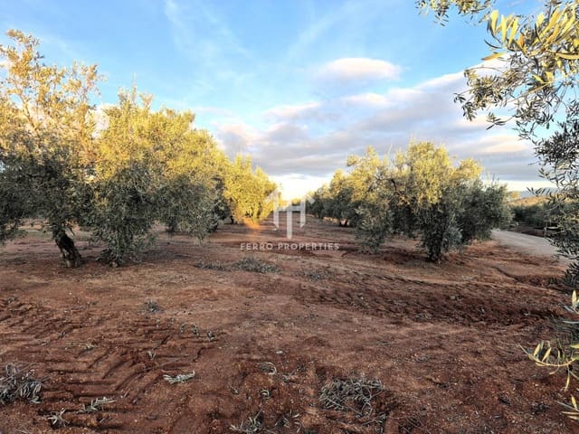 Terreno Não Urbanizado para venda em Iznalloz - 6 700 000 € (Ref: 9446127)