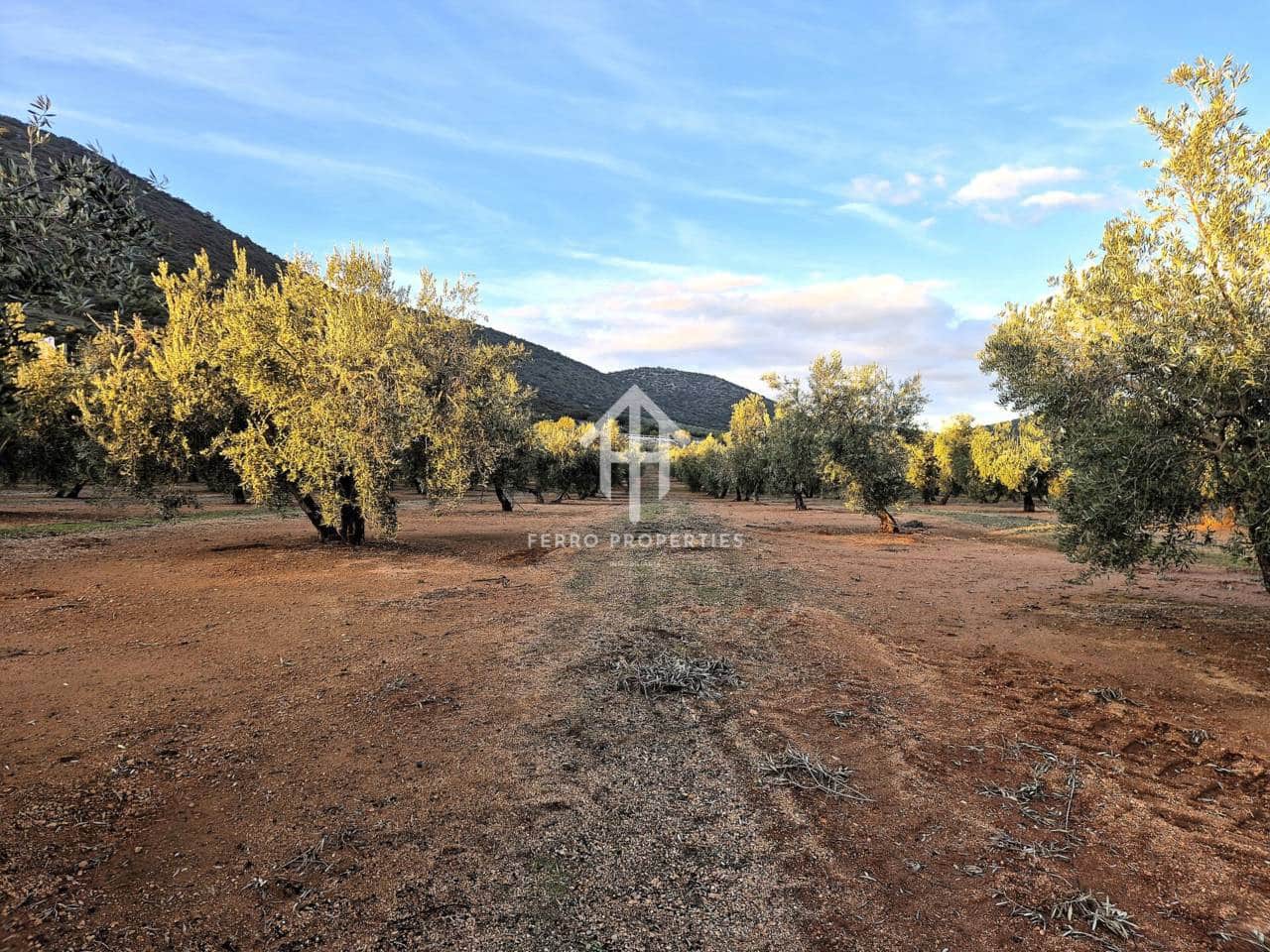 Terreno Não Urbanizado para venda em Iznalloz - 6 700 000 € (Ref: 9446127)