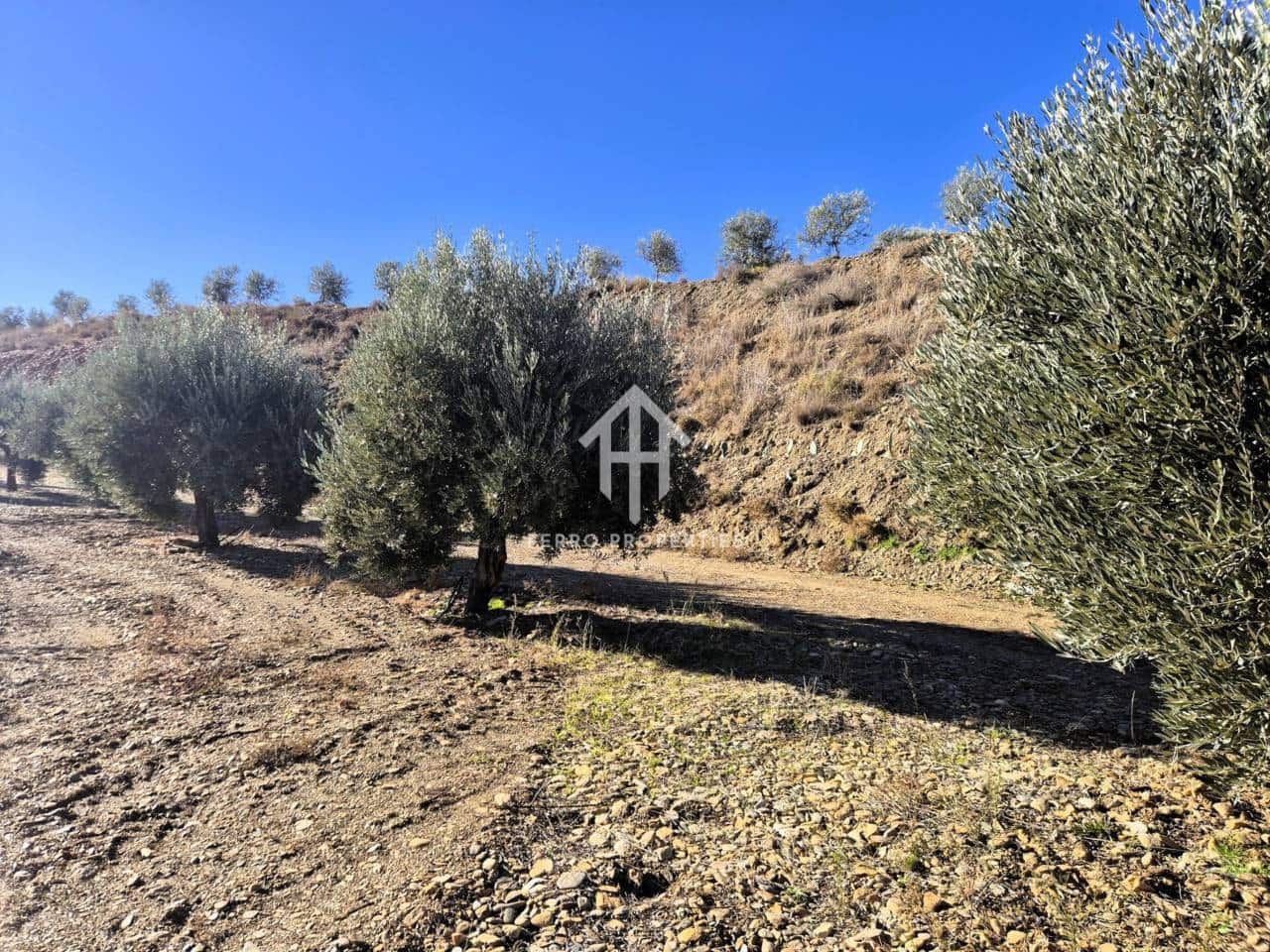 Landgrundstück zu verkaufen in Cogollos de Guadix - 850.000 € (Ref: 9451798)
