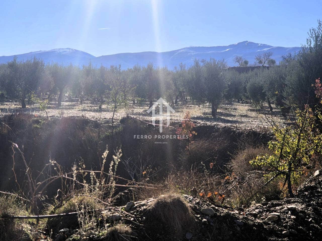 Landgrundstück zu verkaufen in Cogollos de Guadix - 850.000 € (Ref: 9451798)