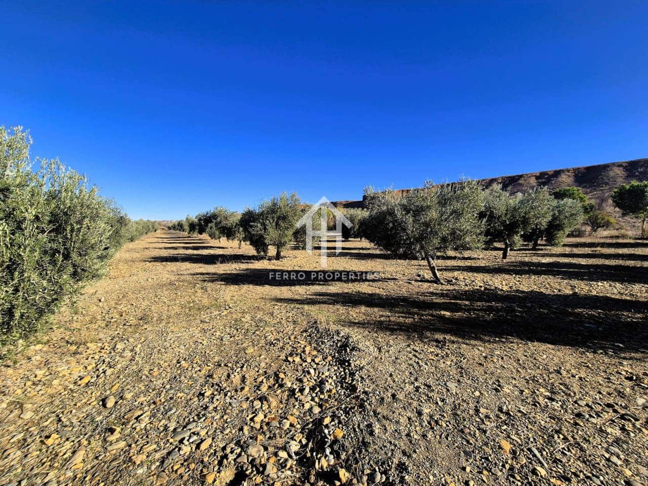 Landgrundstück zu verkaufen in Cogollos de Guadix - 850.000 € (Ref: 9451798)