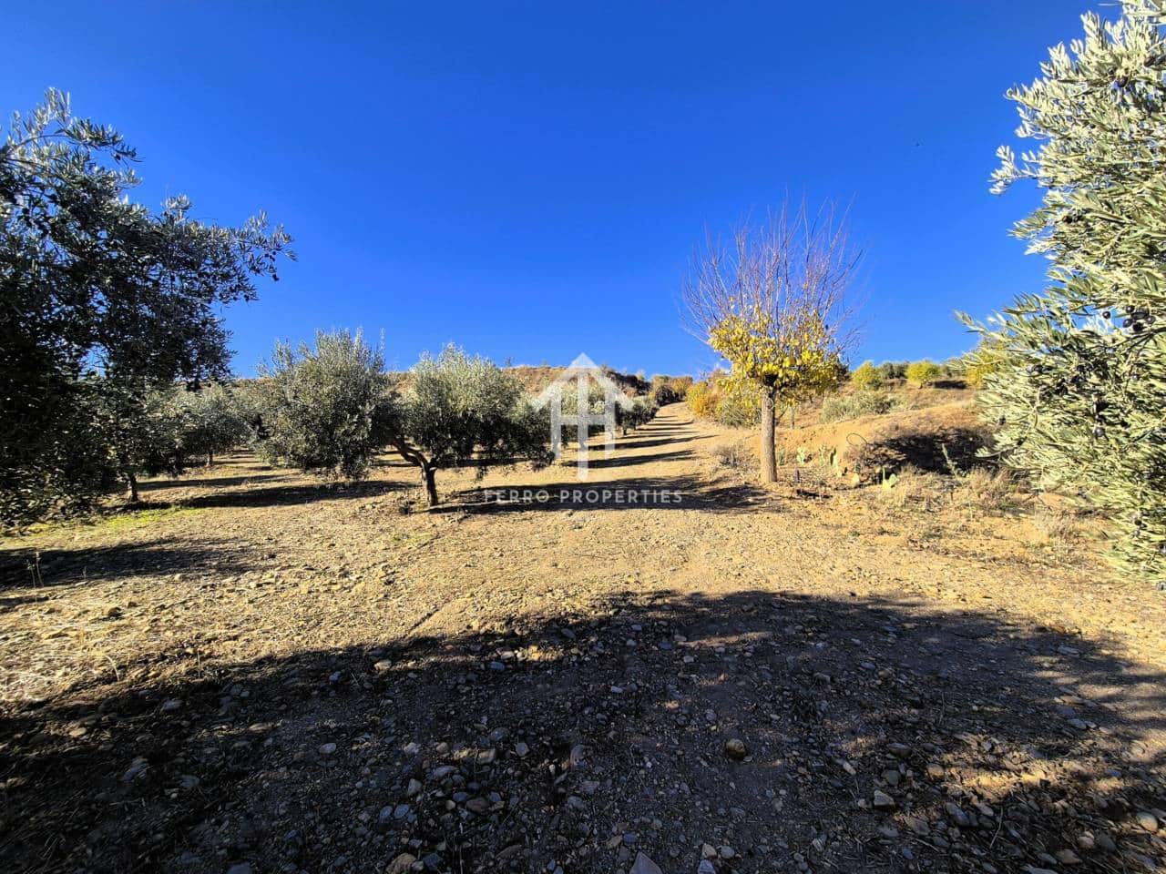 Landgrundstück zu verkaufen in Cogollos de Guadix - 850.000 € (Ref: 9451798)