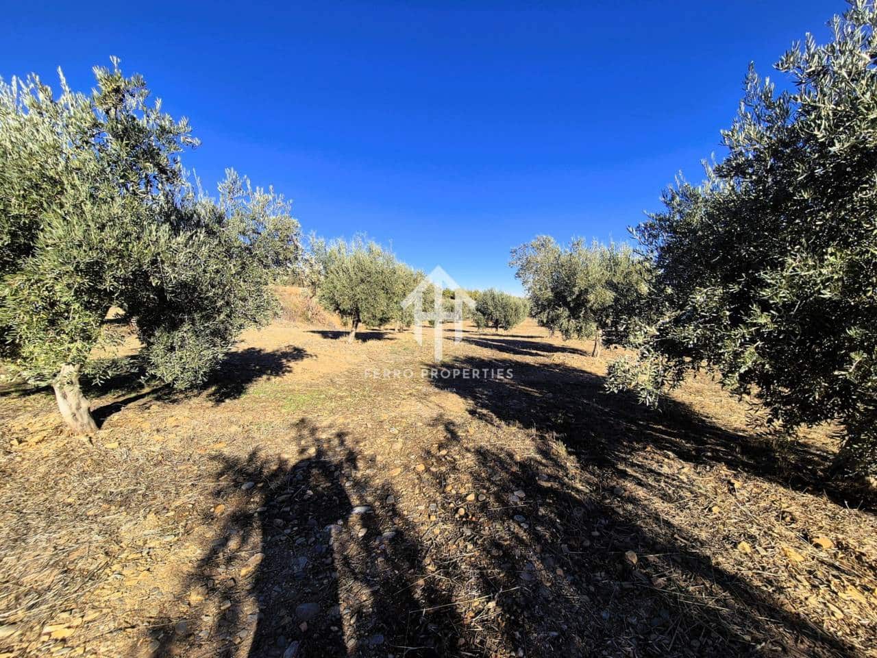 Landgrundstück zu verkaufen in Cogollos de Guadix - 850.000 € (Ref: 9451798)
