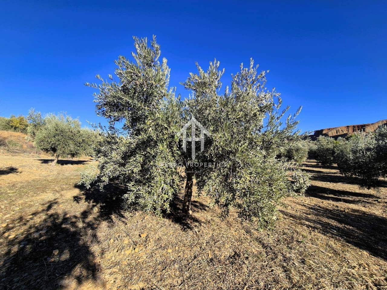 Landgrundstück zu verkaufen in Cogollos de Guadix - 850.000 € (Ref: 9451798)