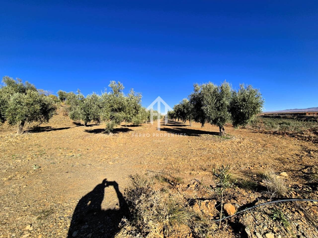 Landgrundstück zu verkaufen in Cogollos de Guadix - 850.000 € (Ref: 9451798)