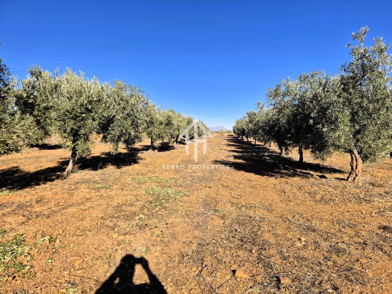 Landgrundstück zu verkaufen in Cogollos de Guadix - 850.000 € (Ref: 9451798)