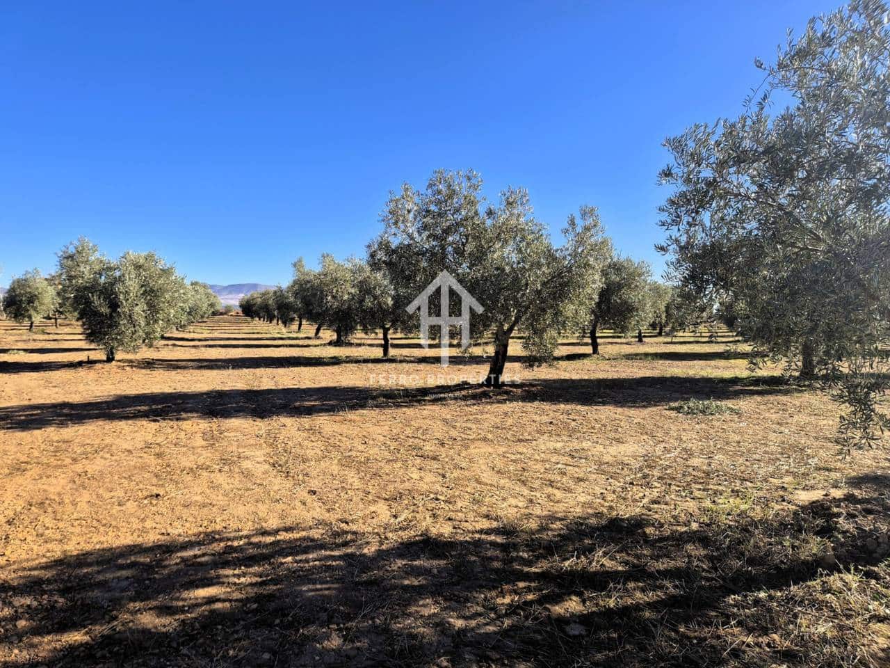 Landgrundstück zu verkaufen in Cogollos de Guadix - 850.000 € (Ref: 9451798)