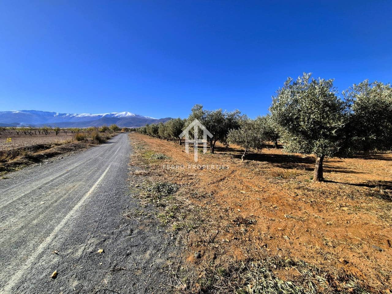 Landgrundstück zu verkaufen in Cogollos de Guadix - 850.000 € (Ref: 9451798)