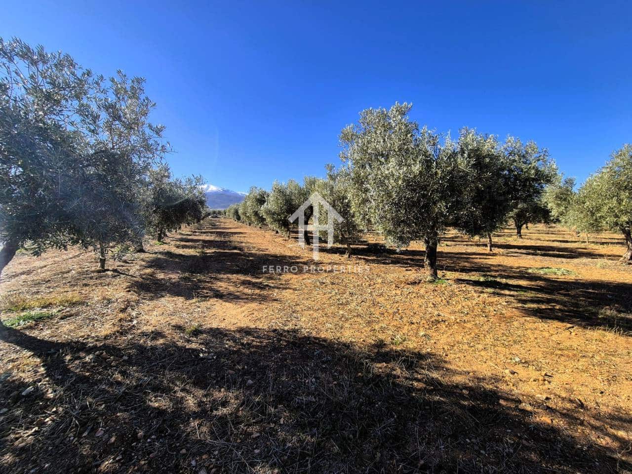Landgrundstück zu verkaufen in Cogollos de Guadix - 850.000 € (Ref: 9451798)