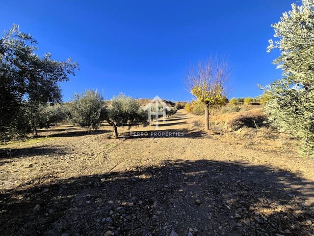 Terre non Aménagée à vendre à Cogollos de Guadix - 850 000 € (Ref: 9451798)