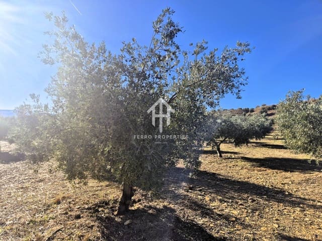 Terre non Aménagée à vendre à Cogollos de Guadix - 850 000 € (Ref: 9451798)