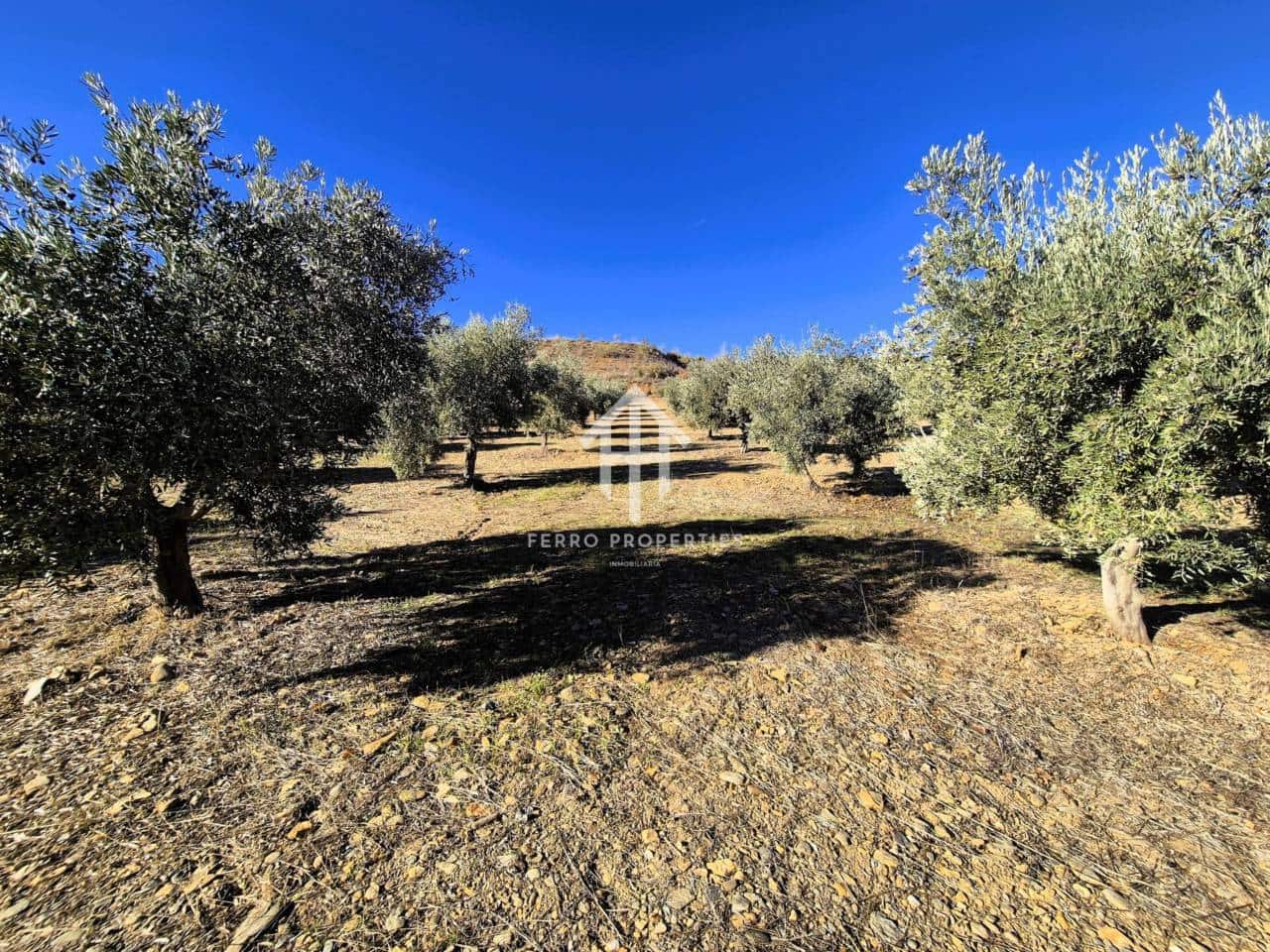 Landgrundstück zu verkaufen in Cogollos de Guadix - 850.000 € (Ref: 9451798)