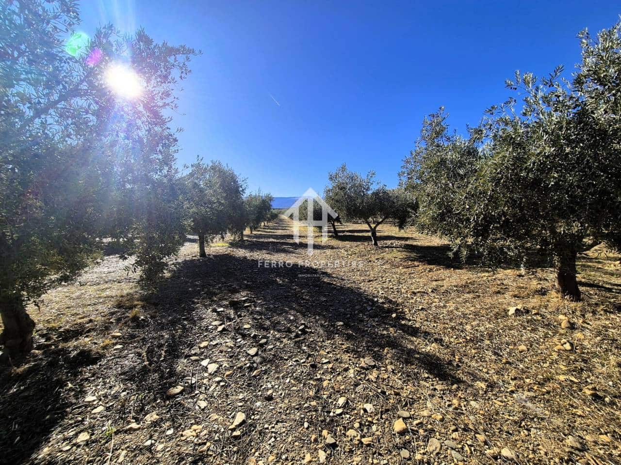 Landgrundstück zu verkaufen in Cogollos de Guadix - 850.000 € (Ref: 9451798)