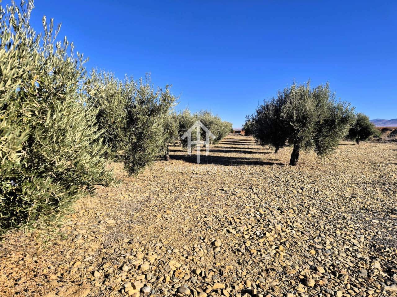 Landgrundstück zu verkaufen in Cogollos de Guadix - 850.000 € (Ref: 9451798)
