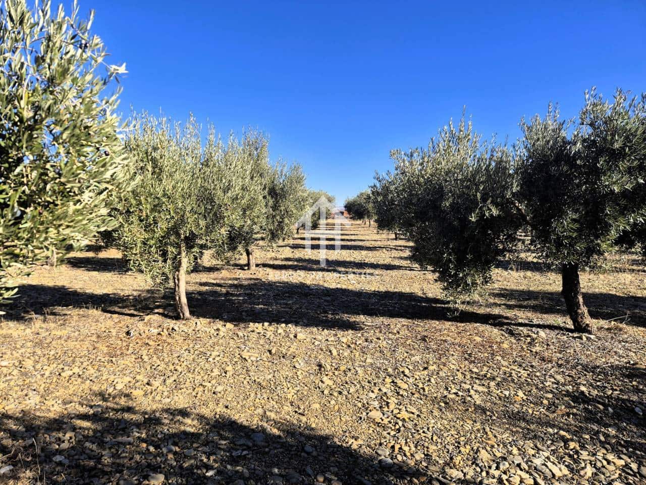 Landgrundstück zu verkaufen in Cogollos de Guadix - 850.000 € (Ref: 9451798)