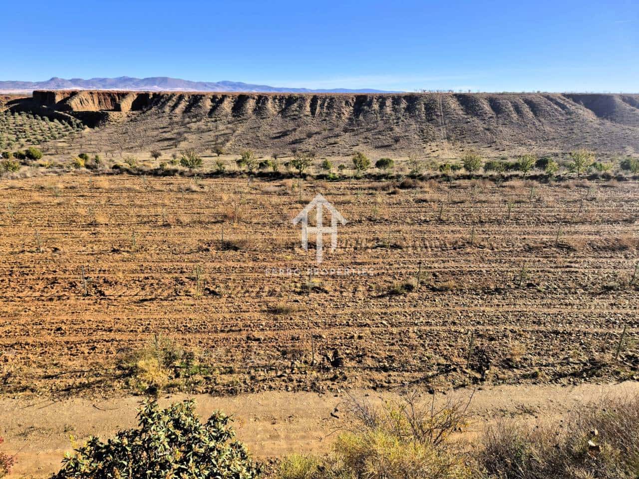 Landgrundstück zu verkaufen in Cogollos de Guadix - 850.000 € (Ref: 9451798)