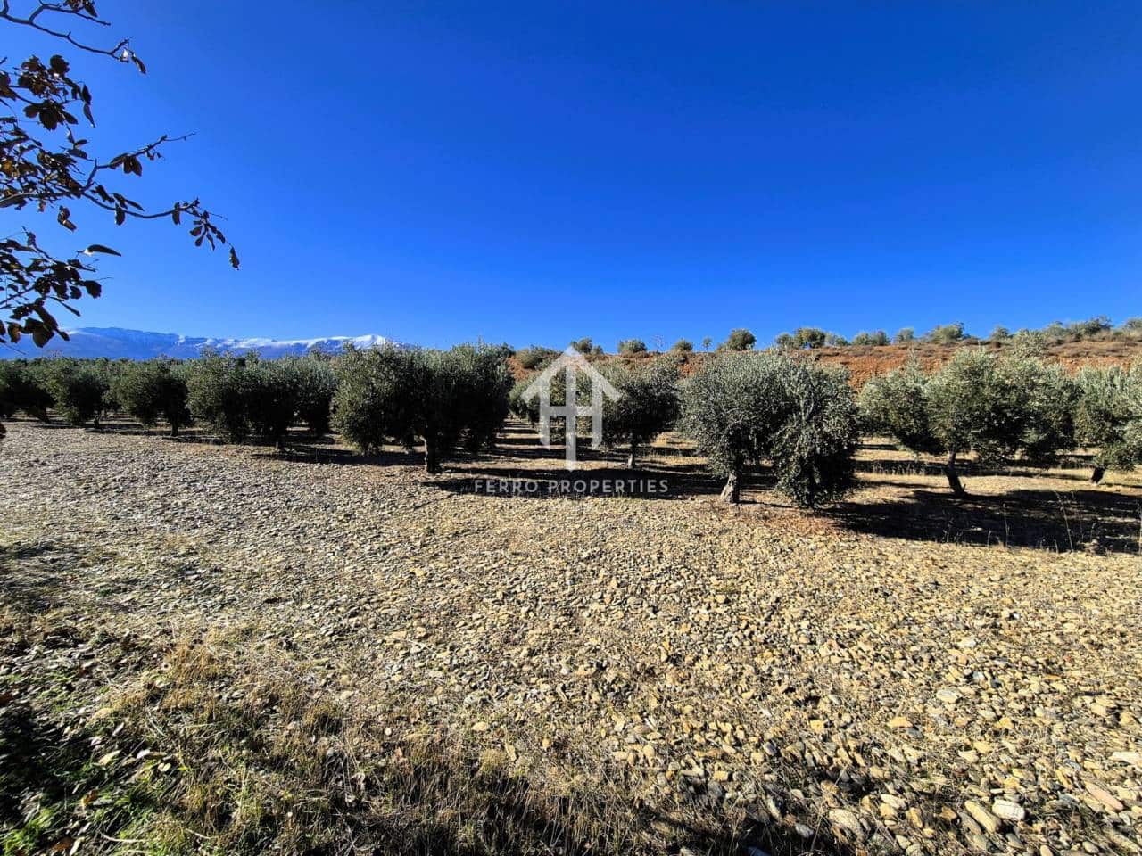 Landgrundstück zu verkaufen in Cogollos de Guadix - 850.000 € (Ref: 9451798)
