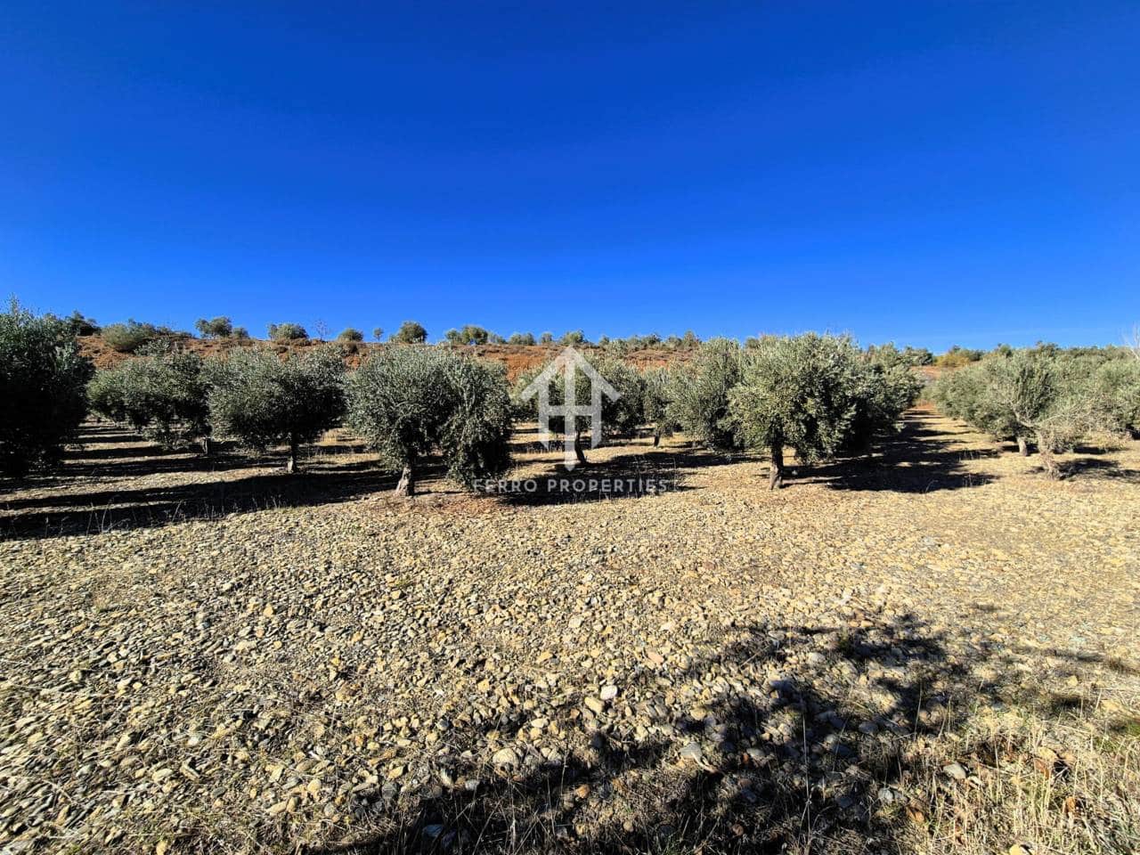 Landgrundstück zu verkaufen in Cogollos de Guadix - 850.000 € (Ref: 9451798)
