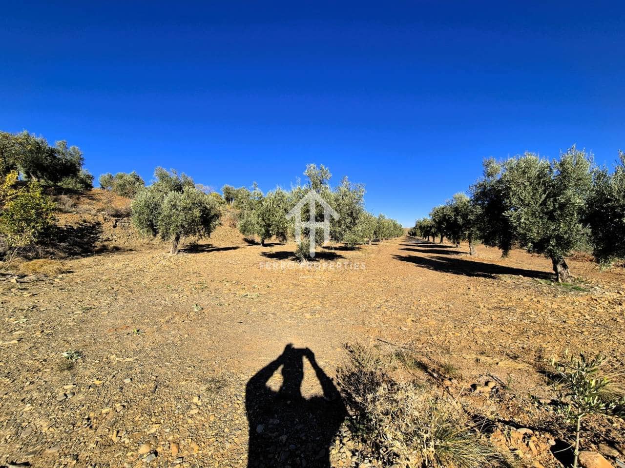 Landgrundstück zu verkaufen in Cogollos de Guadix - 850.000 € (Ref: 9451798)