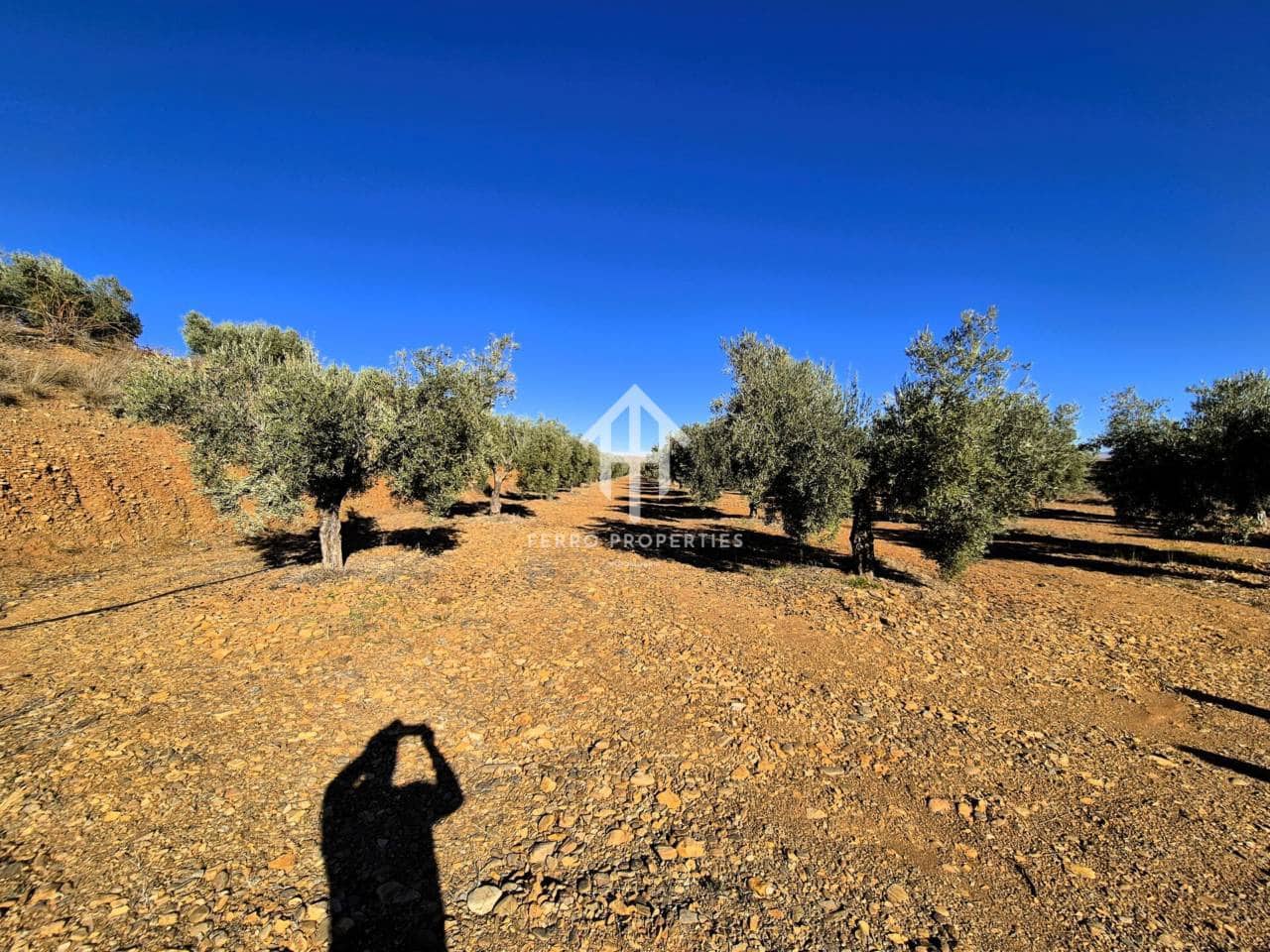 Landgrundstück zu verkaufen in Cogollos de Guadix - 850.000 € (Ref: 9451798)