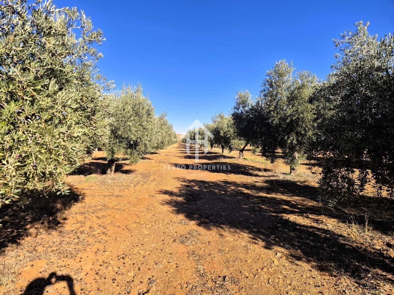 Landgrundstück zu verkaufen in Cogollos de Guadix - 850.000 € (Ref: 9451798)