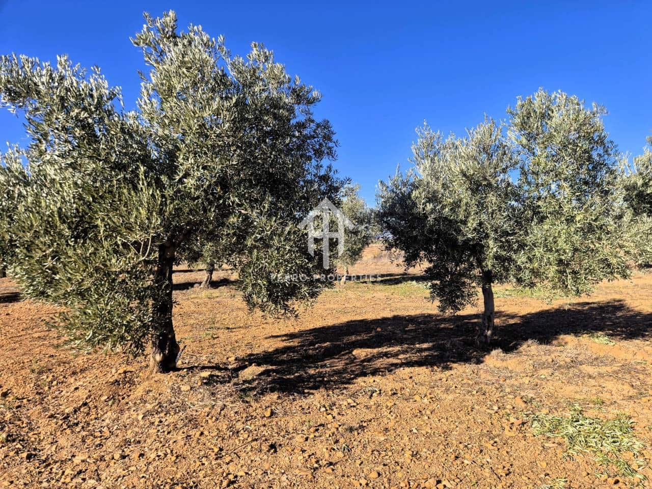 Landgrundstück zu verkaufen in Cogollos de Guadix - 850.000 € (Ref: 9451798)